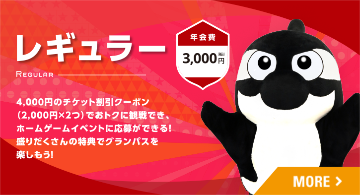 レギュラー
