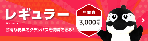 レギュラー