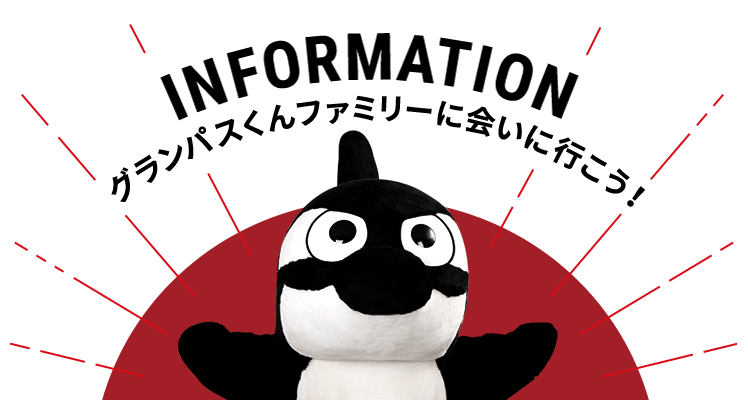 INFORMATION グランパスくんファミリーに会いに行こう！