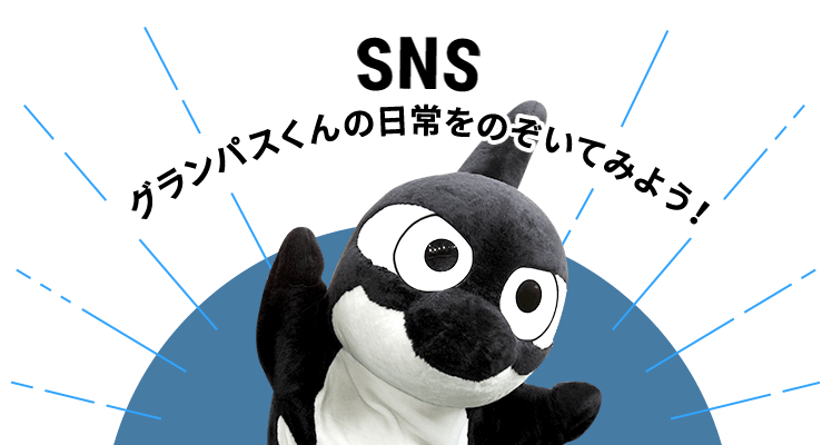 SNS グランパスくんの日常をのぞいてみよう！