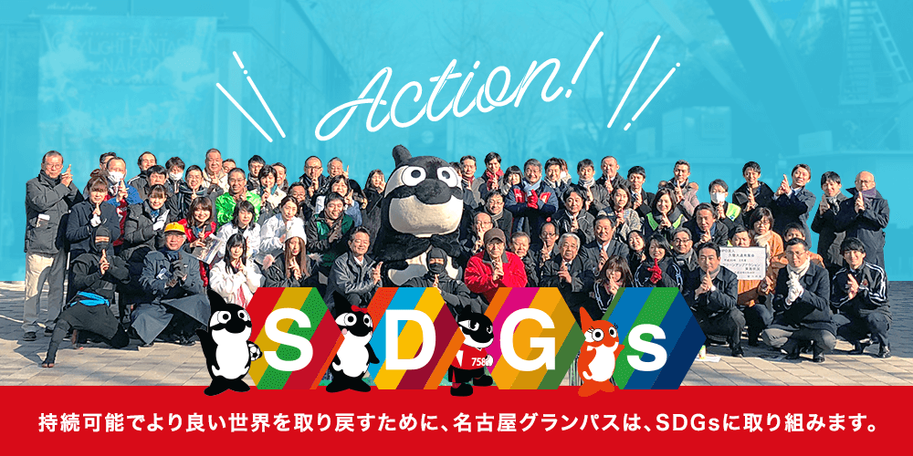 SDGS