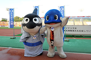 130713-aqu.jpg