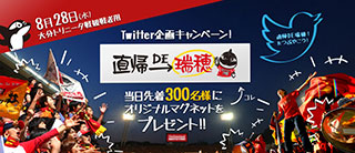 2013_chokkimizuho.jpg