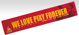 131130-pixy-2.jpg