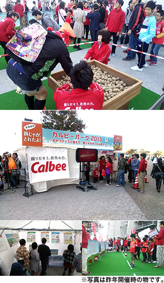 141129-cal2.jpg