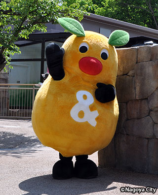 150926hig.jpg