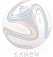 公式試合球